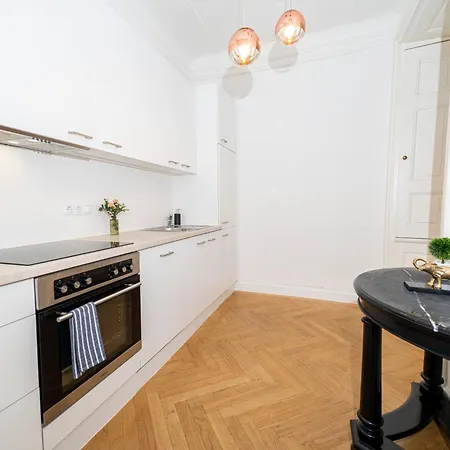 Central Stephansdom Apartment I Netflix I Self Check In Vienna Exterior photo